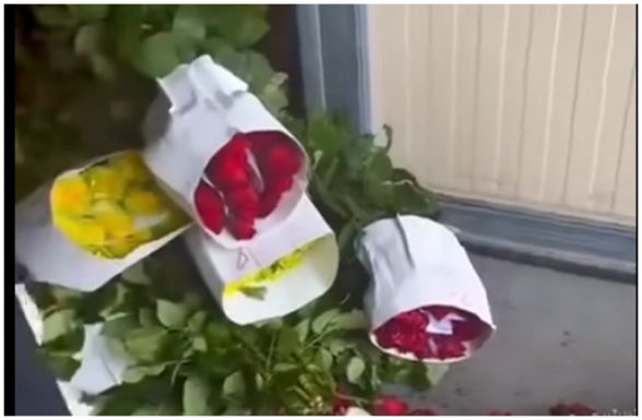 Հայրենակիցները հայտնվել են անելանելի վիճակում (տեսանյութ)